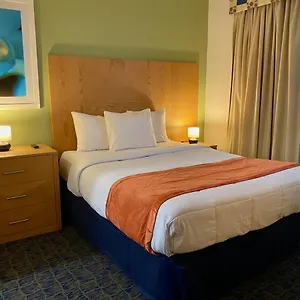 https://ficus-hotel.comcaribbean.com