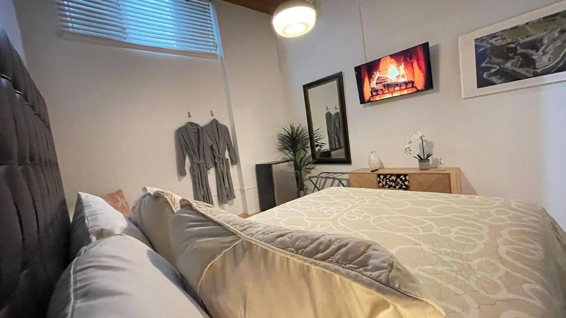 Hostel Oasis Inn San Juan